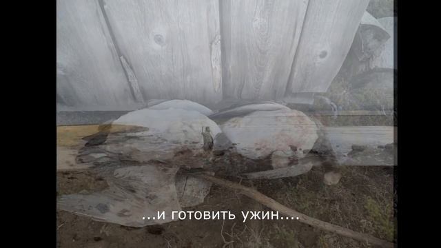 СУПЕР ОХОТА НА ГУСЯ В ТУНДРЕ!!! ВЕЛИКОЛЕПНАЯ ПРИРОДА!!! Сентябрь 2021 года! смотреть онлайн