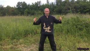 Цигун "ношение малого шара, вытягивание золотой нити". Павел Ян