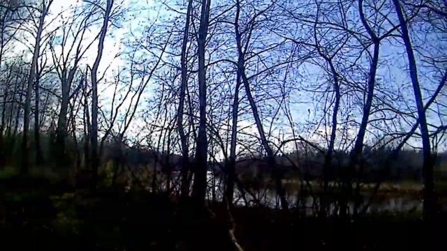 Мещера. Пеший поход на 3 дня на Клязьму. Болота и глухие леса