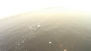 Рыбалка на спиннинг. Рыбалка на щук и окуней на реке Лене #3.ловля щуки#ловля окуня#