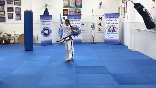 Yoo Sin Tul / Patterns / Formas / Taekwondo ITF/ III Dan смотреть онлайн