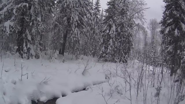 50 дней в тайге Прикамья. Бродяги Севера. Часть 4