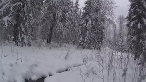50 дней в тайге Прикамья. Бродяги Севера. Часть 4