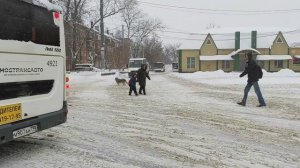 В Домодедово ввели бесплатный проезд на автобусах