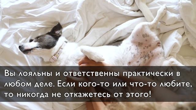 Форма среднего пальца может многое рассказать про ваш непростой характер смотреть онлайн