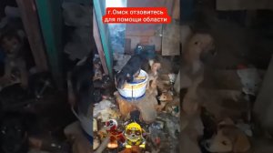 Город Омск помогите глубинке