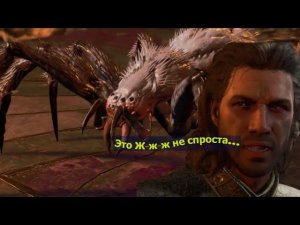 Baldur's Gate 3: бунт пауков, опасные связи и наставленные рога