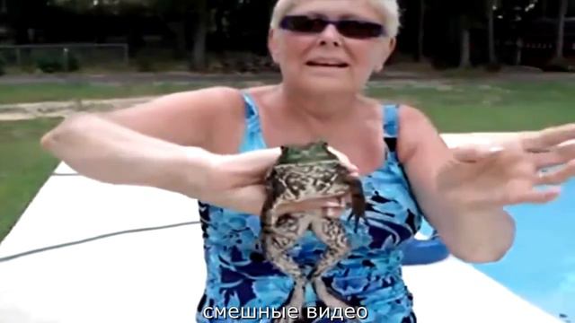 СМЕШНЫЕ ВИДЕО ПРИКОЛЫ СМОТРЕТЬ БЕСПЛАТНО смотреть онлайн