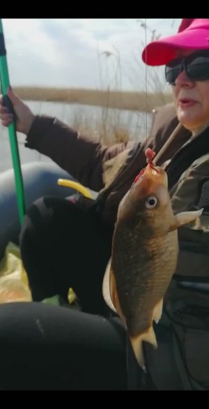 Сладкий карась 21.05.2023