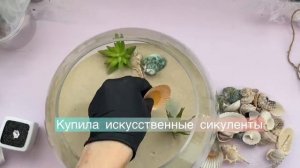 DIY/Делаем сухой аквариум