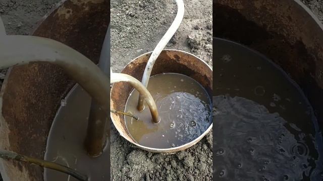 Как я борюсь с землеройками и кротами . Наславча Молдова 22 апреля 2023 г. смотреть онлайн