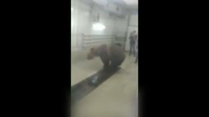 Необычные случаи на автомойке