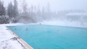 РОЗОВОД НА КАНИКУЛАХ