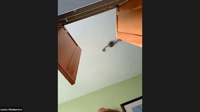 Года по науке Сюцай. Год 6.