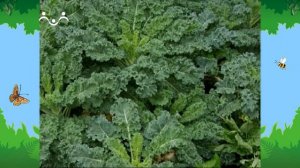 Утро в Шишкином Лесу. Зимний сад. Салат