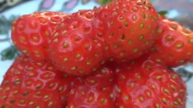 ЯГОДА ЭКСКЛЮЗИВ, СЕМЬЯ, уродилась у нас на дачи смотреть онлайн