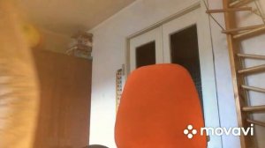 Обматываю булавы!/ Sweet Day