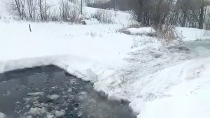 Замор. Спасаем карасят на частном пруду.