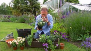 How to Create a Sweet-Smelling Window Box | The Great British Garden Revival