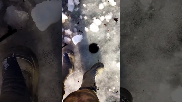 Рыбалка! Там где дороги нет. Нива зверь. Бездорожье. Ленок Сиг Налимчик. Собака Зайчик. Отдых Якути смотреть онлайн