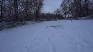 Спочатку Боялися, Потім Поставили Жерлиці і Наловили Щук. Риболовля на Десні