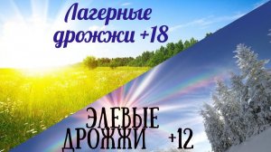 Сбраживаю лагерными дрожжами +18! А элевыми +12!Сравнение ,дегустация,эксперимент!