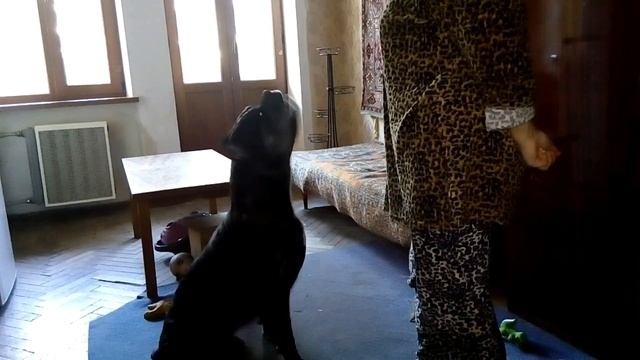 Фильм ЗОРРО смотреть онлайн