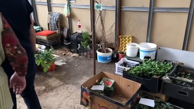 ВЛОГ/ Крытый рынок Шымкент ОБЗОР ?/ Рынок Гагарина