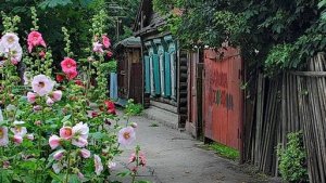 "ЭЛЕГИЯ"... (Фото Игоря БАРАНОВА (Рязань), музыка Майкла ХОППА (Мексика))