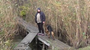 КОПАЕМ ПРУД!   зарыблять будем карпом 100 грамм.