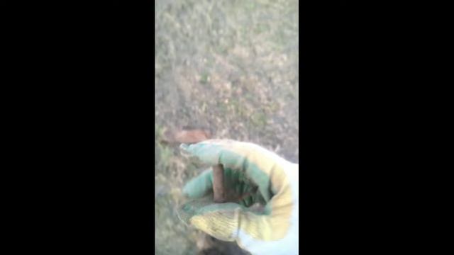 хожу с металлоискателем смотреть онлайн