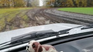 За грибами. Когда дождь и грязь не помеха..mp4