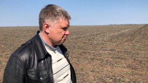 Кориандр и шалфей можно выращивать по технологии No-till