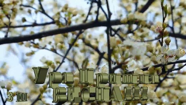 Привет , весна! смотреть онлайн