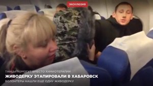 Первые кадры после задержания одной из живодерок Алены Савченко (с) life.ru