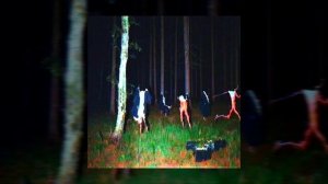 ЗЕЛЁНЫЕ ОЧКИ | 13 карт meme | slowed down |