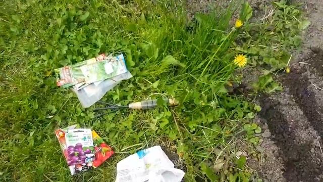 ВЛОГ "КАК САЖАТЬ РЕДИС." смотреть онлайн