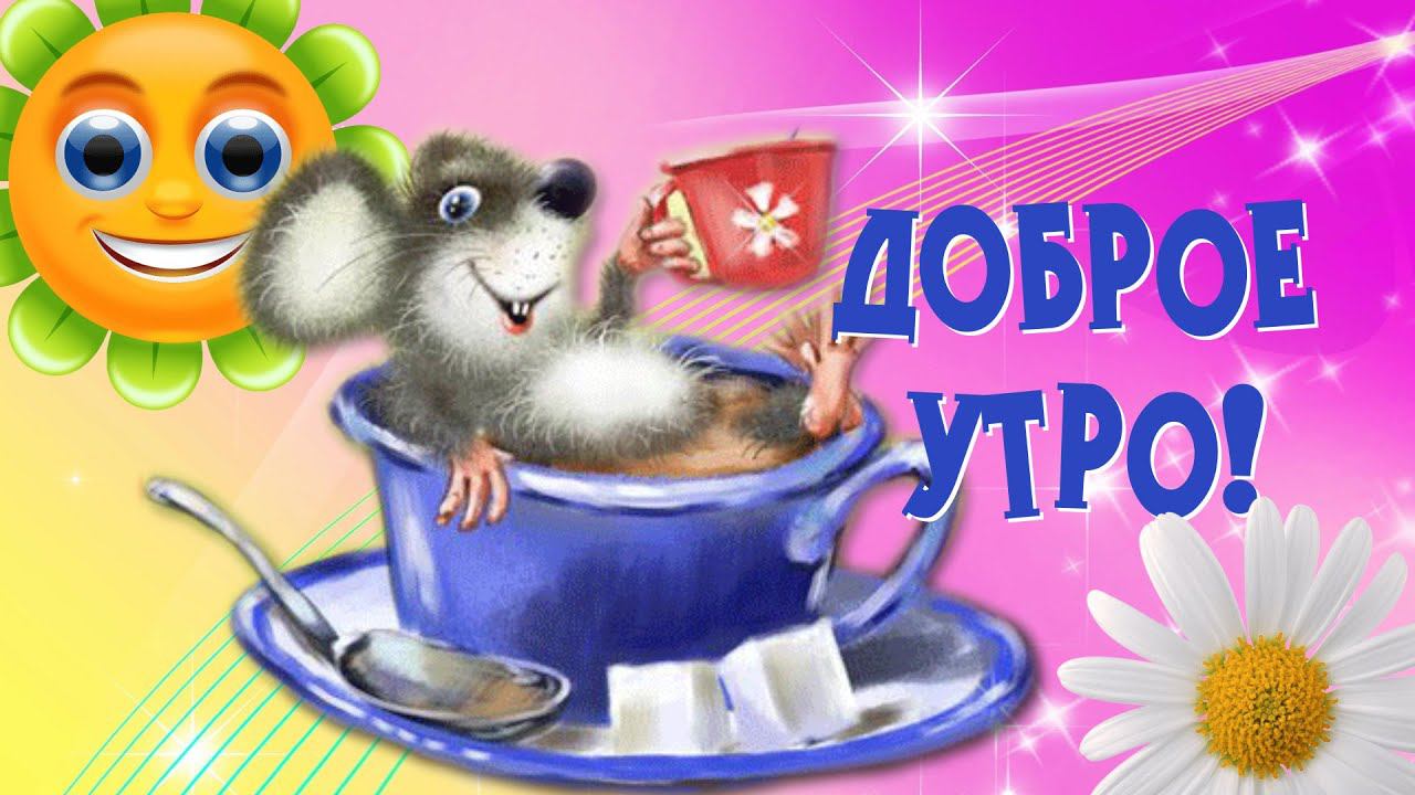 С добрым утром! Мир прекрасен! Утренний позитивчик для друзей