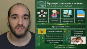 Когнитивная психология #16. Основные механизмы функционирования нервной системы