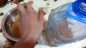 Уксусная матка. Чайный гриб. Комбуча.