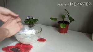 ПП торт Рафаэлло всего из 4 основных ингредиентов! 100 ккал! За 20 минут! Rafaello Cake!