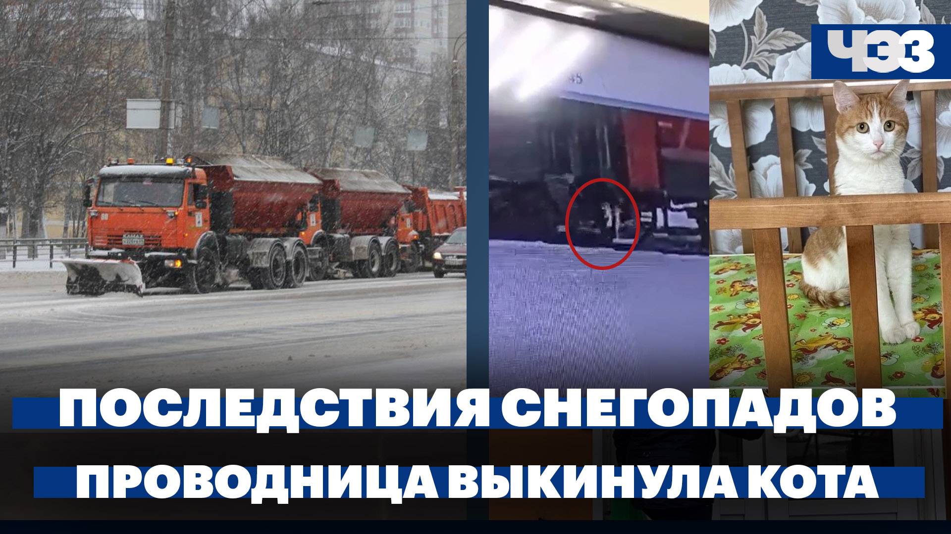 Последствия снегопадов в Европейской части России, проводница РЖД выкинула из поезда домашнего кота