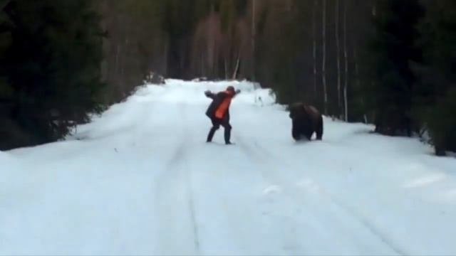 Швед отпугнул медведя