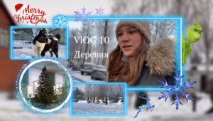 VloG 10, поездка в деревню