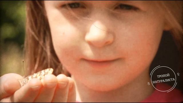 Тропой орнитолога натуралиста смотреть онлайн