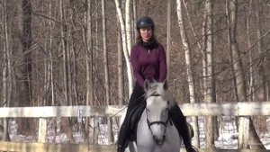 Катя урок 18.03 строевая рысь + интервью. Школа верховой езды Гармония