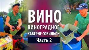 Вино из винограда «Каберне Совиньон» в домашних условиях | Часть 2