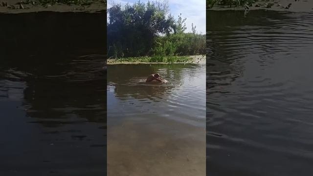 Пранк над сэнсэем! Остался ГОЛЫМ! Inst: Psawkin
