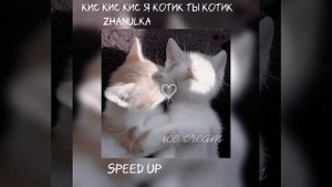 кис кис кис я котик ты котик -zhanulka speed up