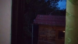 Тайланд, утро пение птиц. Остров Самет